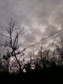 2011. tavasz 30