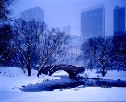 Central Park télen