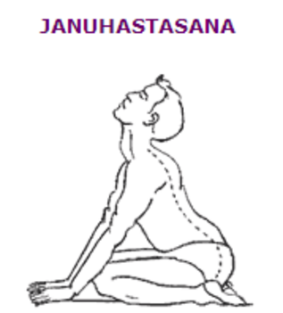 januhastasana