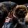 Mtv_movie_awards_2011_dijatado_14-005_1160510_1056_t