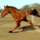 Pic040_1160941_2379_t