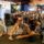 Jackdave0fl_1171467_1904_t