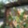Most_nyilo_viragaim_11_1171522_9219_t