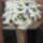 Most_nyilo_viragaim_14_1171525_9415_t