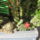 Most_nyilo_viragaim_30_1171541_4031_t