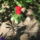 Most_nyilo_viragaim_33_1171544_9314_t
