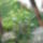Most_nyilo_viragaim_35_1171546_3400_t