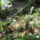 Most_nyilo_viragaim_36_1171547_8048_t