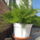 Most_nyilo_viragaim_45_1171556_8912_t