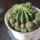 Most_nyilo_viragaim_48_1171559_4253_t