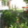Most_nyilo_viragaim_4_1171515_2454_t