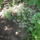 Most_nyilo_viragaim_58_1171569_3472_t