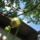 Most_nyilo_viragaim_9_1171520_1452_t