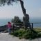 Olaszország, Garda-tó, olajfák 5