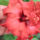 8852853_bfc9bdae50174121adb95200447becb7_l_1173606_7393_t
