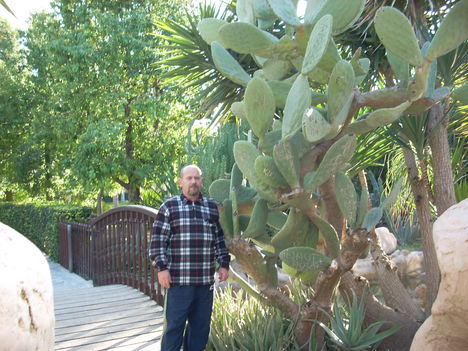 a naaagy kaktusz