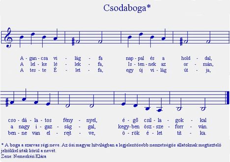 csodaboga