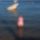 Egyiptom_26-001_1178173_8081_t