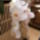Orchidea_1178147_5794_t