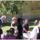 Dscf5042_1179677_6581_t