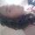 En_1179527_9711_t