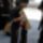 Fotok_gulyas_attila_14_1179952_7474_t