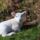 Imagescaac2nvw_1179477_2962_t