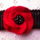 Pipacs_fekete_panton_1179985_3743_t