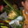 Ballagas_39_1170366_6111_t