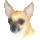 Dog08_1017220_9693_t