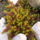 Dscf0821_1107843_7494_t