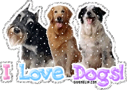 i_love_dogs