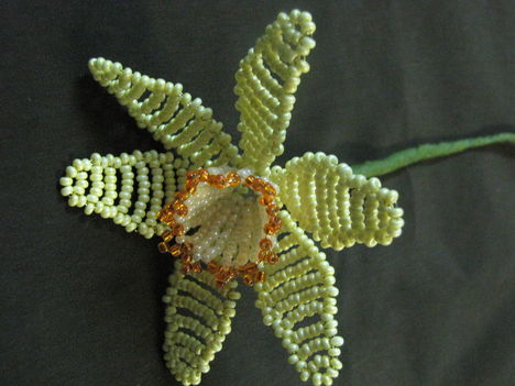 Kép 005