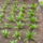 Klubvezeto_kepei_1-003_1107054_4532_t