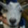 P1100322_1017859_6700_t