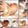 Pavagalambjaim_1170152_9375_t