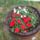 Pistikem_1170845_8355_t