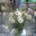 Szeretettel_1170749_7832_t