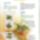 Textilre_33_1017390_6208_t