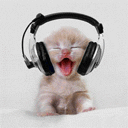 Zene rajongó cica:)