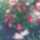 Kep016_a_rozsaim201105_12_1181511_1208_t