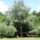 Koloska_volgy_pihenopark_balatonfured_1182849_3532_t
