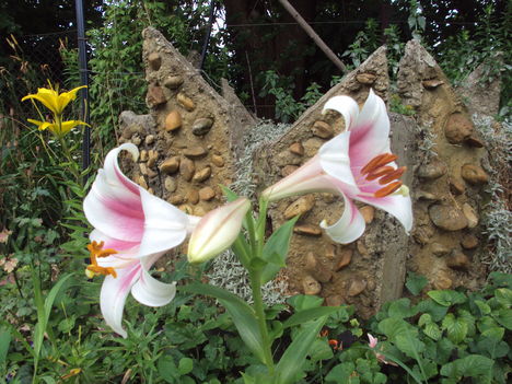 kertünkből 2011