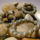 Csavi2_1184043_1545_t