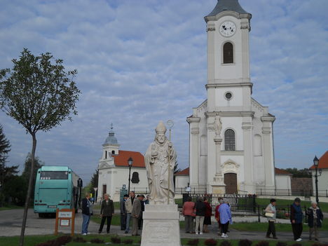 DSCN0266