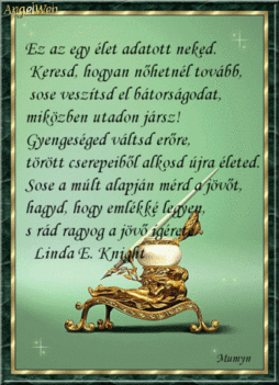 Szép estét!