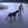 Vegre_le_tudtunk_menni_a_tisza_partra_1184906_7335_t