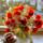 Virag-010_1184847_5298_t