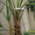 Viragok_011_1184003_4423_t