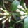 Othon_2011-008_1185906_9053_t